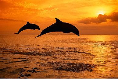 《绝区零》月城柳角色PV 鬼佑之人