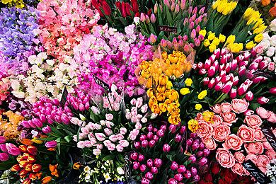 《恐龙化石猎人 古生物学模拟器》4月28日发售 支持简体中文